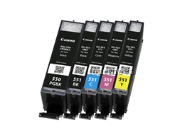 Renovovan inkoustov cartridge Canon PGI 550BK